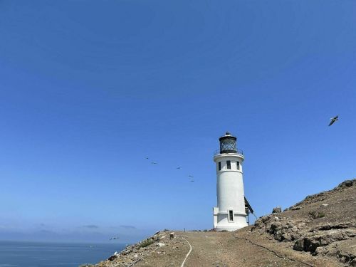 A tall white lighthouse stands on a rocky shore under a clear blue sky, overlooking the ocean.