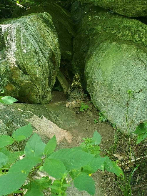 A rocky area with large boulders and green foliage, featuring a small frog camouflaged among the stones.