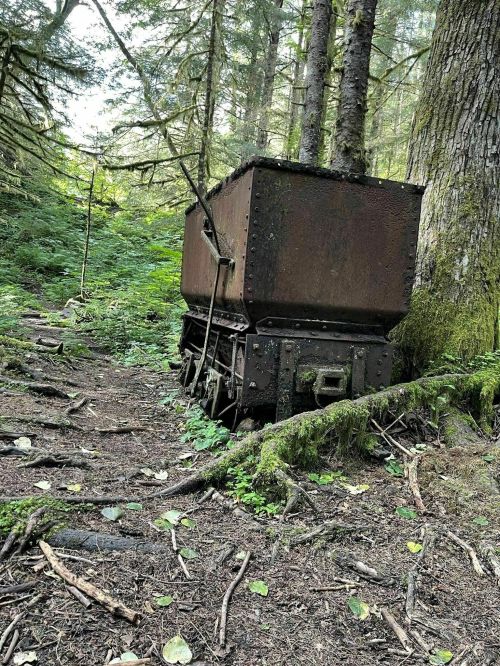 An old, rusted mining cart sits on a forest path, surrounded by lush greenery and tall trees.