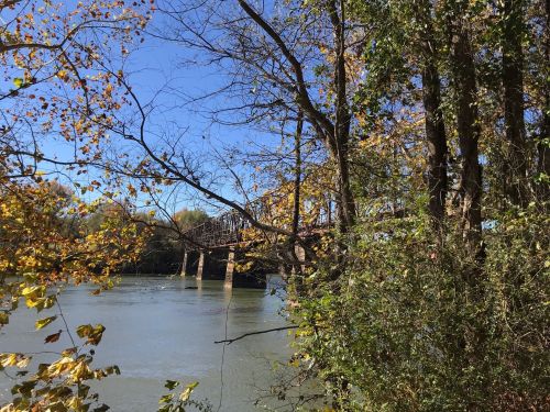 A serene river scene with trees and autumn leaves, featuring a bridge in the background under a clear blue sky.