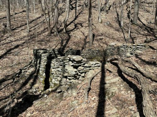 Ruins of a stone structure in a wooded area, surrounded by bare trees and fallen leaves. Shadows cast on the ground.