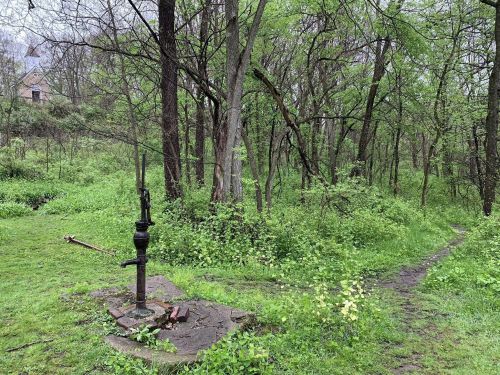 A vintage hand pump stands on a stone base in a lush, green forest with trees and a winding path.