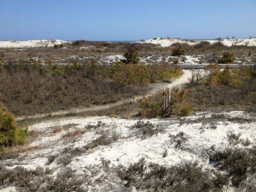 A sandy landscape with sparse vegetation, leading to distant dunes and a clear blue sky above.