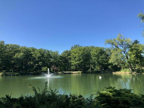 A serene pond surrounded by lush green trees under a clear blue sky, featuring a fountain in the center.