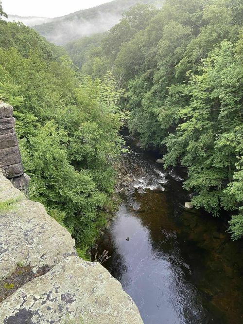 A serene river flows through a lush green forest, with mist rising from the hills in the background.