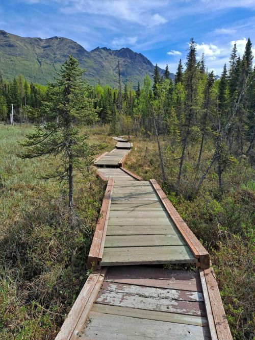 A wooden boardwalk winding through a lush green landscape with mountains in the background under a blue sky.