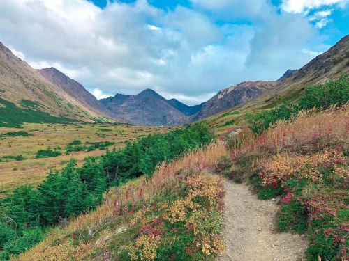 A scenic mountain landscape with a winding path, lush greenery, and colorful autumn foliage under a cloudy sky.