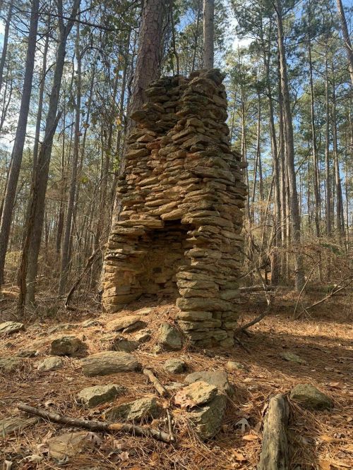 A weathered stone chimney stands among tall trees in a forest, surrounded by scattered rocks and pine needles.