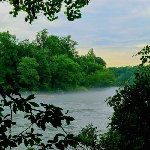 A serene river scene surrounded by lush green trees and mist, with a soft sunrise in the background.