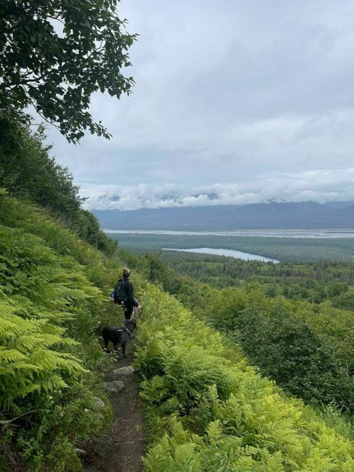 A person walks a dog along a lush, green trail with a scenic view of a river and mountains in the background.