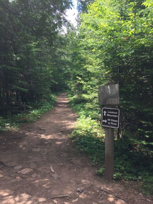 A dirt path through a lush green forest, with a sign indicating directions to Lookout Mountain and the river.