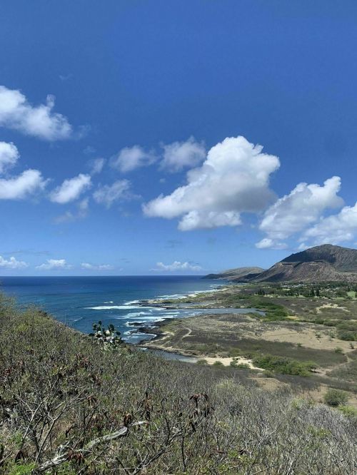 A scenic coastal view featuring blue ocean, green hills, and fluffy clouds under a bright sky.