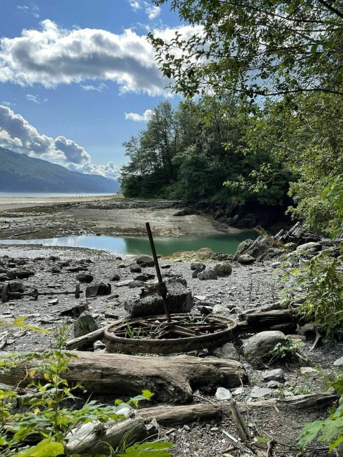 A serene landscape featuring a rocky shore, a calm pool of water, and lush greenery under a blue sky with clouds.