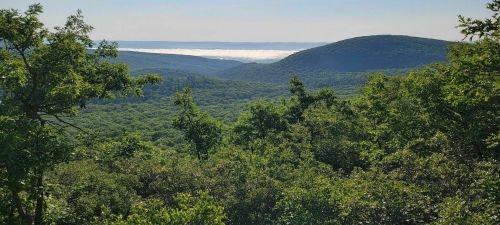 A lush green landscape with rolling hills and a misty valley below, under a clear blue sky.