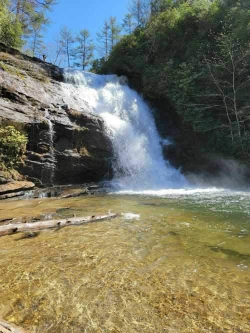 A waterfall cascading over rocks into a clear pool, surrounded by lush greenery and blue sky.