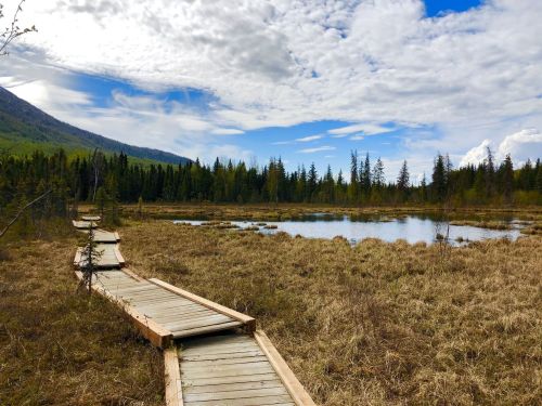 A wooden boardwalk leads through a grassy wetland, with trees and a pond under a cloudy blue sky.