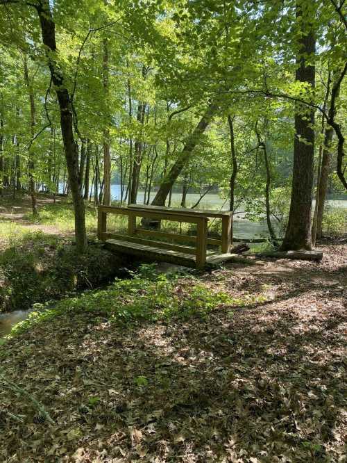 A wooden bridge over a small stream, surrounded by lush green trees and a calm body of water in the background.