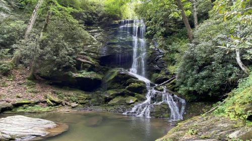 A serene waterfall cascading over rocks into a calm pool, surrounded by lush greenery and trees.