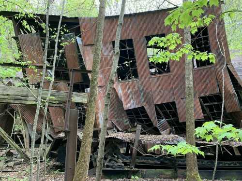 An abandoned, rusted building partially collapsed among trees in a forested area.