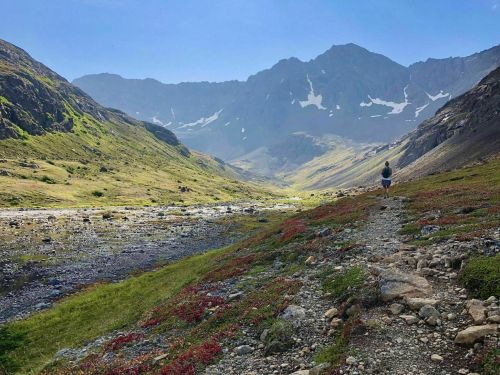 A hiker walks along a rocky path in a lush valley, surrounded by mountains under a clear blue sky.
