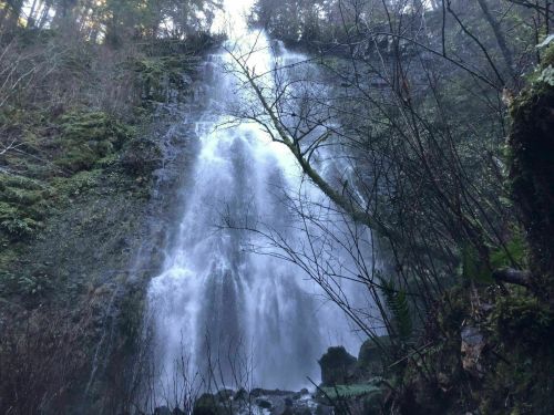 A cascading waterfall surrounded by lush greenery and trees, with mist rising from the water.