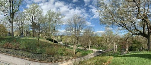 A panoramic view of a serene landscape with trees, a winding path, and a cloudy blue sky.