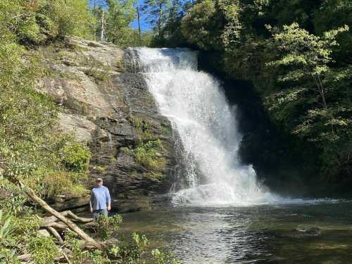 A person stands near a waterfall surrounded by lush greenery and rocky terrain on a sunny day.