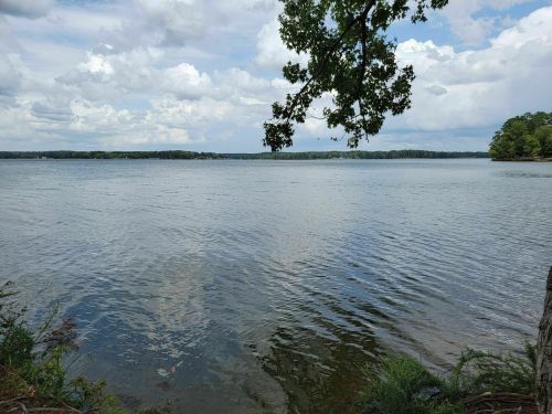 A calm lake under a cloudy sky, with trees lining the shore and gentle ripples on the water's surface.