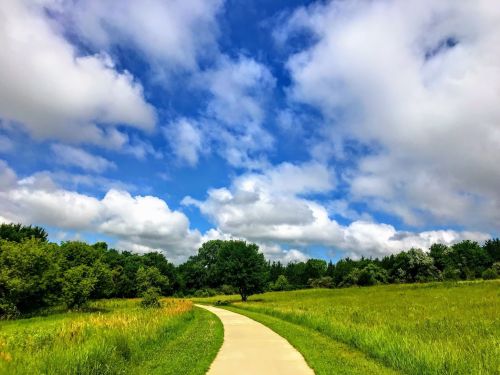 A winding path through a lush green field under a bright blue sky with fluffy white clouds.