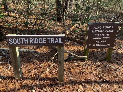 Two wooden signs in a forest: one for "South Ridge Trail" and another stating "No entry permitted along this boundary."