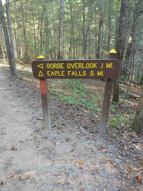 Trail sign indicating directions to Gorge Overlook (1 mile) and Eagle Falls (0.5 miles) in a wooded area.