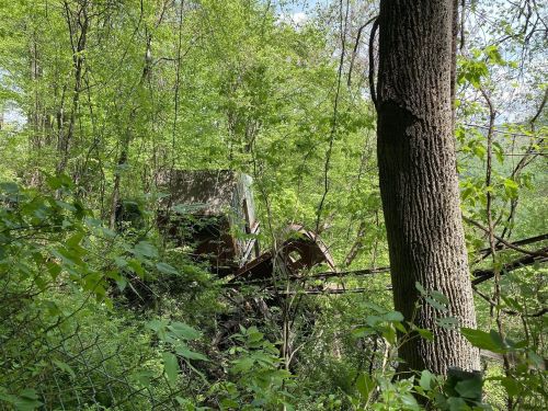 An abandoned vehicle partially hidden among lush green trees in a forested area.