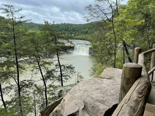 A scenic view of a waterfall surrounded by lush greenery and trees, with a wooden railing in the foreground.
