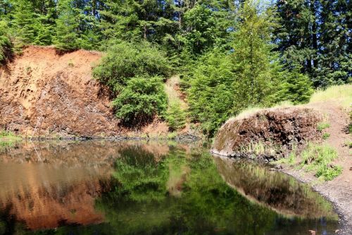 A serene pond surrounded by lush greenery and rocky cliffs, reflecting the trees and earth in calm water.