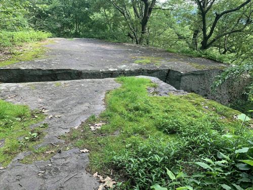 A rocky, moss-covered surface in a lush green forest, with trees surrounding the area.