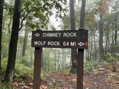 Wooden trail sign pointing to Chimney Rock and Wolf Rock, surrounded by a misty forest.