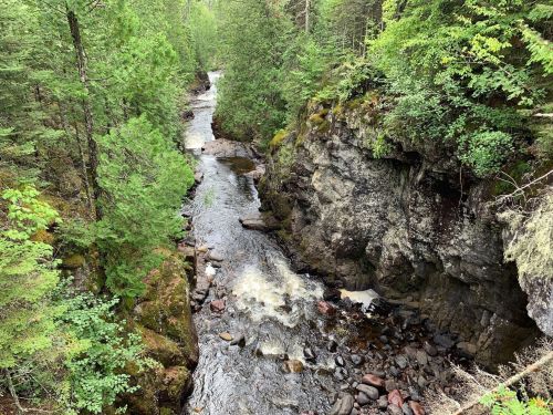 A serene river flows through a lush green forest, surrounded by rocky cliffs and vibrant trees.