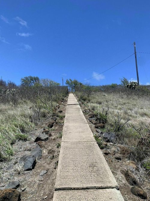 A concrete path leads uphill through grassy terrain under a clear blue sky.