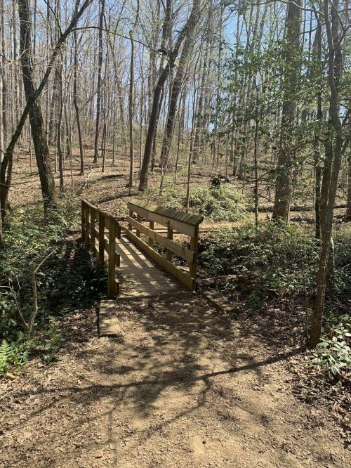 A wooden bridge crosses a small path in a wooded area with sparse trees and greenery under a clear blue sky.