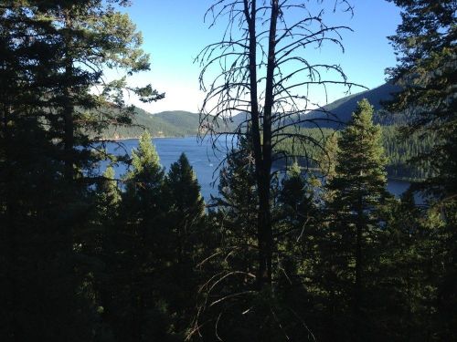 A serene view of a lake surrounded by lush green trees and mountains under a clear blue sky.
