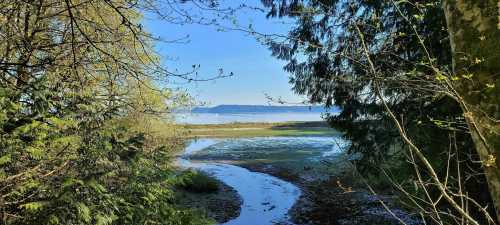 A serene view of a calm lake surrounded by trees and greenery under a clear blue sky.