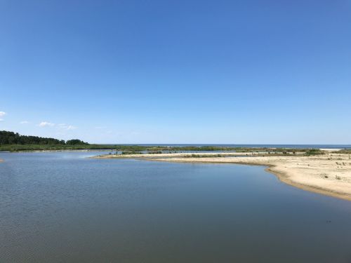 A serene river landscape with a clear blue sky, sandy banks, and lush greenery in the background.