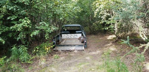 Abandoned truck in a wooded area, partially hidden by trees and overgrown vegetation.