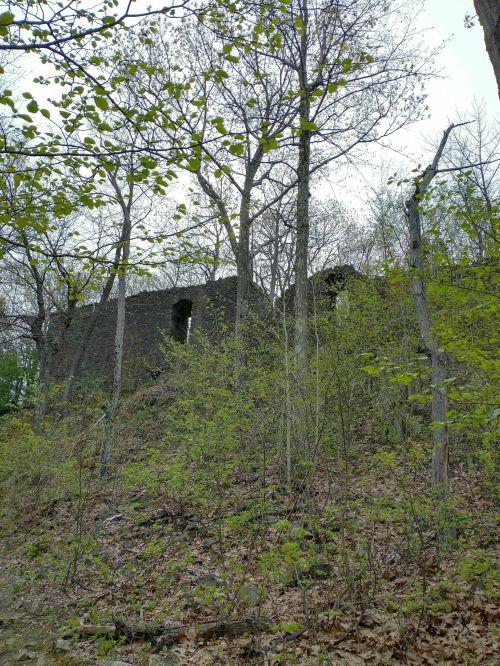 Ruins of a stone structure partially hidden among trees and greenery on a hillside in early spring.