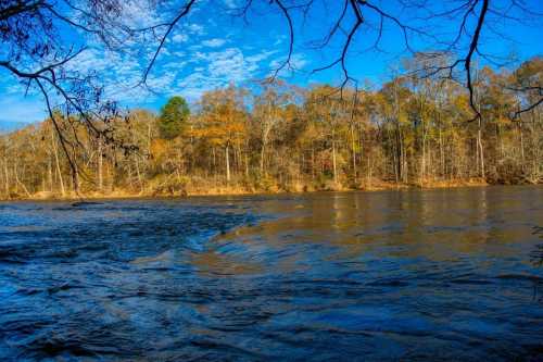 A serene river scene with blue skies, autumn trees lining the shore, and gentle ripples on the water's surface.