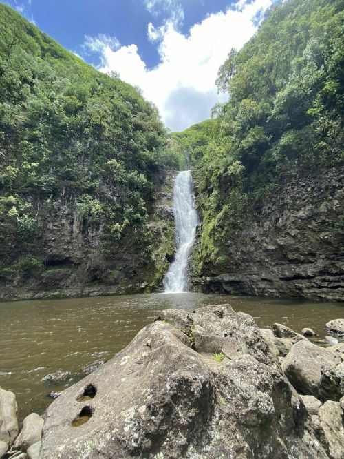 A serene waterfall cascades down rocky cliffs, surrounded by lush greenery and a calm pool at the base.