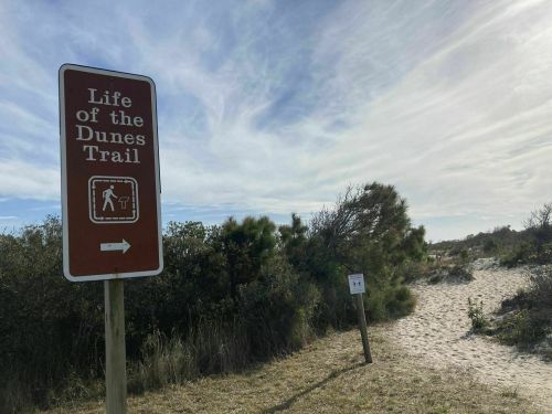 Sign for "Life of the Dunes Trail" with a directional arrow, surrounded by sandy path and vegetation.