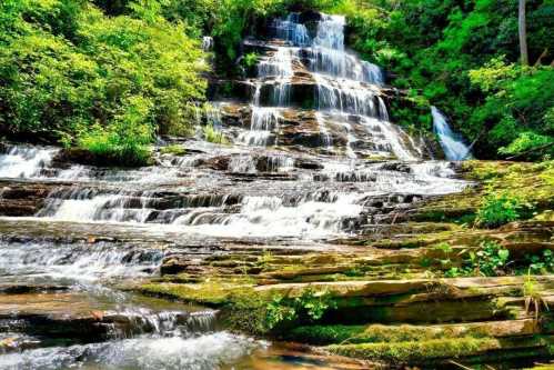 A serene waterfall cascading over rocky steps, surrounded by lush green foliage and vibrant nature.