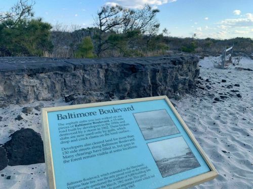 Sign about Baltimore Boulevard on a sandy beach, with sparse vegetation and a rocky shoreline in the background.