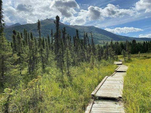 A wooden boardwalk winds through a lush green landscape with mountains and clouds in the background.